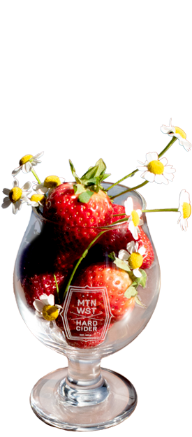 Mountain West Hard Cider - Cider